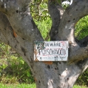 Poisonwood Tree Warning.jpg